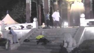 Squad Five-0 Skateboard Video