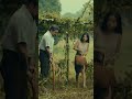Selina S Gold Movie In Short By Sang Roxtar Movie Movieinshort Marvel Tagalogmovie Vivafilms