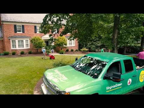 Fall lawn care tips from the pros at Virginia Green