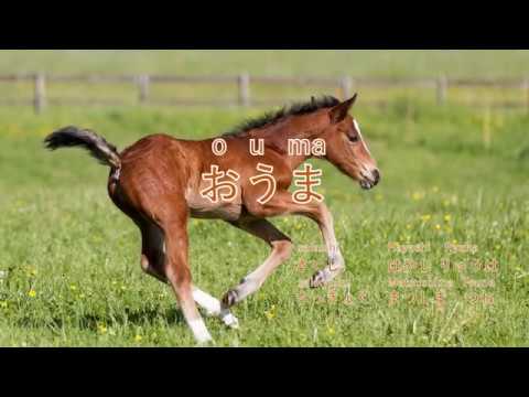 【おうま】ouma＊Horse＊Japanes song＊