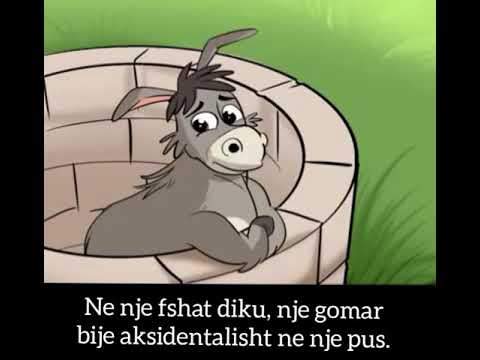 Video mesazh-Gomari qe bjen ne pus...