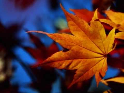 Mùa thu gõ cửa - Khánh Vy