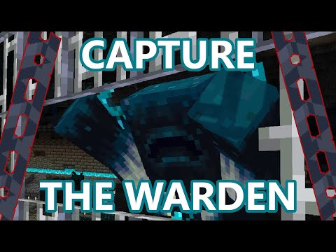 INSANE HACKS - Moving the Warden SAFELY!