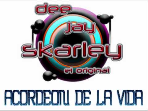 DJ Skarley - Acordeon De La Vida (SoundRemix 2011)