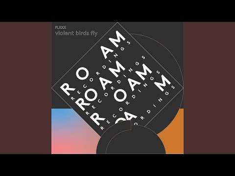 Violent Birds Fly