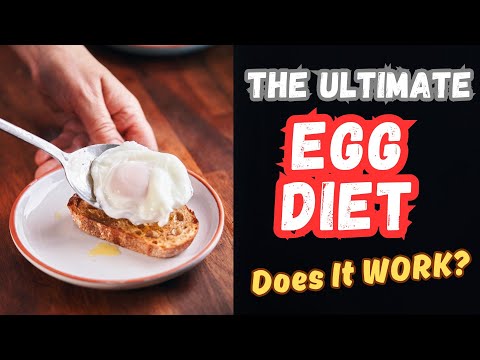 What If Your Only Protein Source Was Eggs