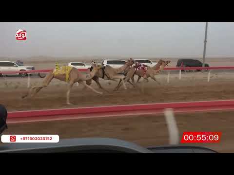  ش 7 (الشاهينيه) لـ منصور صالح بن طرشوم العامري 2:10:37 ، شارة الصندوق 2026/07/18 فطامين الوقن