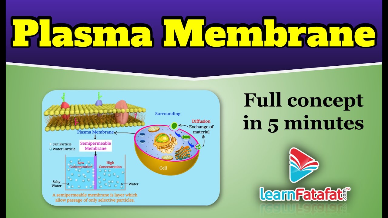Class 9 Science The Fundamental Unit Of Life - What is Plasma Membrane ? - LearnFatafat