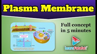 Class 9 Science The Fundamental Unit Of Life - What is Plasma Membrane ? - LearnFatafat