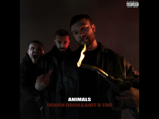 Макс Корж – Animals (Remix Stems)