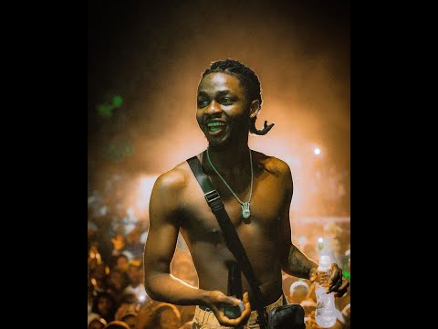 Omah Lay - Far Away (Official lyrics)