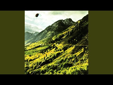 Born to Lose - Woods