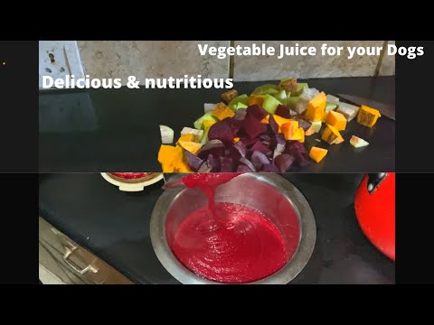 Healthy Juice for Dogs | Raw Food Supplements for Dogs | Part I
