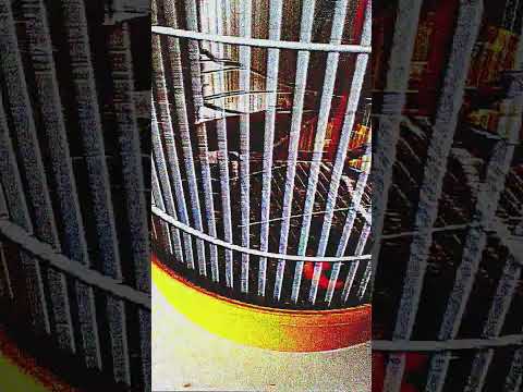 20 de março de 2024