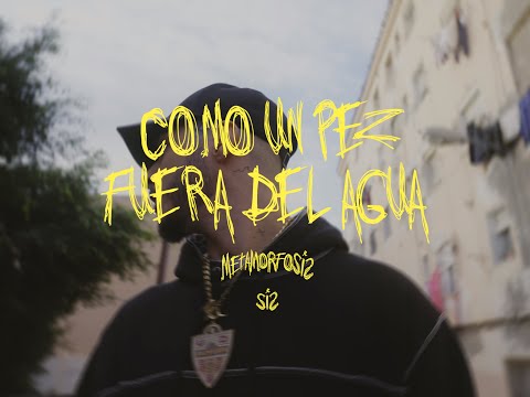 RVFV - COMO UN PEZ FUERA DEL AGUA /Prod. David Marley/ (Visualizer)