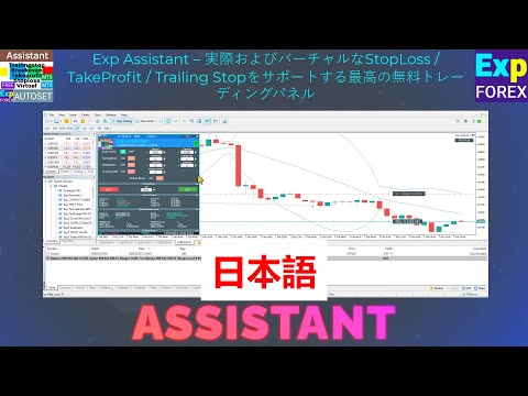 Video Exp Assistant 5