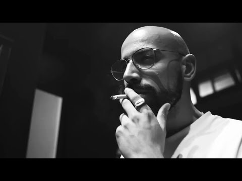 Palazzi x bapcat - Shadow