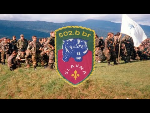 Tigrovi 502 Slavne Brigade - Enko Midžić