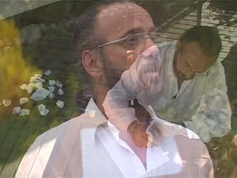 Tamás Gábor - Hervadó Petúniák