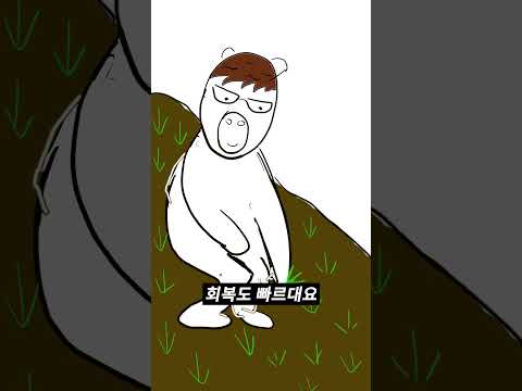 모발이식 흉터 걱정돼?