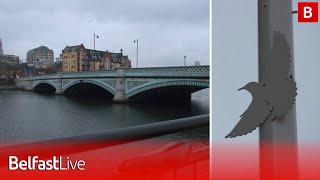 Fears new lighting drove away Belfast's famous starling murmuration