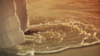 4k Couples Walking in Beach Side Background Video || No Watermark || No Copyright