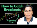 Once You Understand Then You Will Be Able To Catch The Breakout