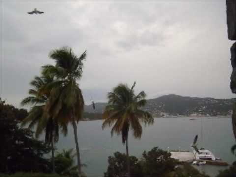 St Thomas Killer Birds