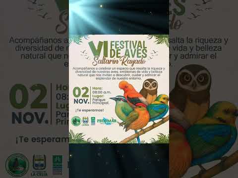Los esperamos mañana en el parque principal de la Celia RIsaralda con este gran festival!