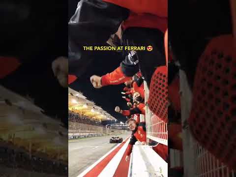 Thumbnail for The marvelous joy of Ferrari employees and passion #shorts #tifosi by Tifosi