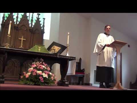 Salvation for Jews and Gentiles, Sermon on Romans 11:13-24 (8/16/20)