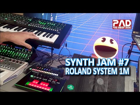 Roland System 1M - NO TALKING