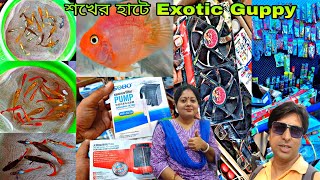 শখের রঙিন মাছ চারিদিকে শ্রীরামপুরের হাটে | Aquarium Fish Serampore Haat | Shrirampur Pet Market