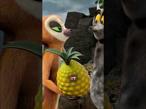 Madagascar rejtély megoldva 13 év után #madagascar  #cartoontheory