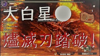 シュヴァルと狩る！カンストまで行きます！『モンスターハンターダブルクロス』【MHXXNS】【Swicth】