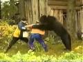 Big Bear Attacks on a women 