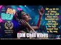 Sinhala Top 10 EDM Mixtape 26 Avi Beats