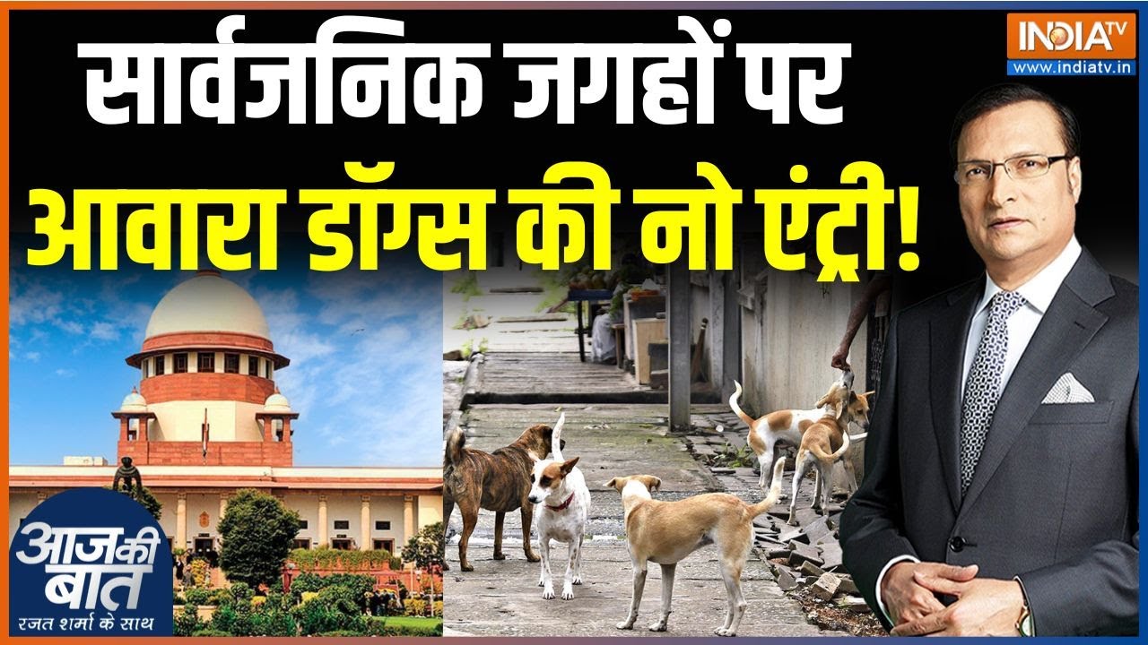 Supreme Court Order On Stray Dogs: डॉग लवर्स ने कोर्ट के फैसले पर क्या एतरा?