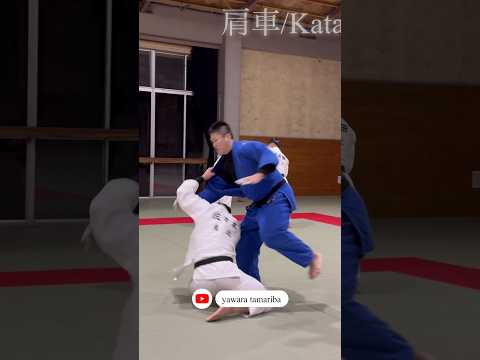 【技】肩車一本！タイミング、崩しが完璧すぎる！ぶっ飛ぶしかない！#柔道 #乱取稽古 #柔のたまり場