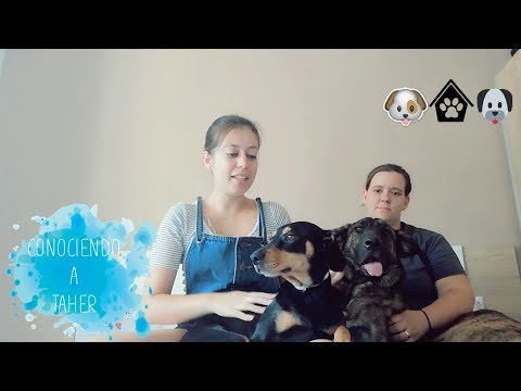 Conociendo a Taher | Lilly Refuse