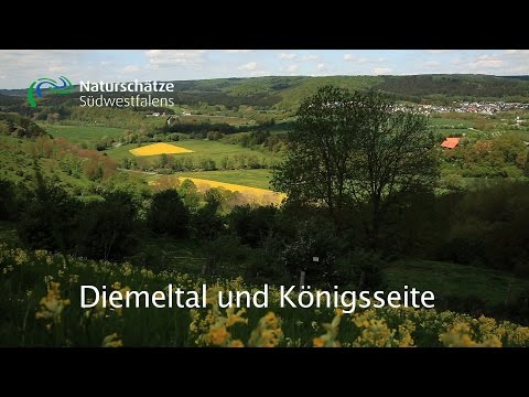 Diemeltal und Königsseite -  Naturschätze Südwestfalens