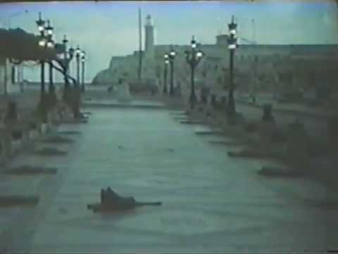 King of the Jungle (El rey de la selva) - Enrique Colina