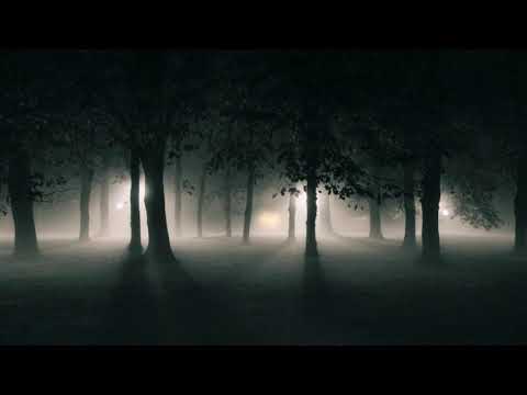 DeathOrchestra - Voice of the Soul (Death cover)