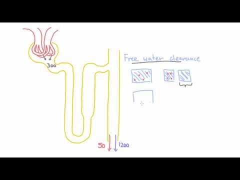 Concept of Free Water Clearance - An Intuitive Understanding