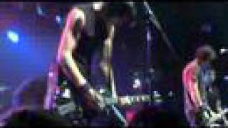 Black Nothing Of A Cat