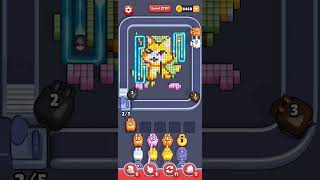 Pixel Flow Level 2797
