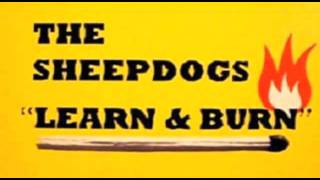 The Sheepdogs - Soldier Boy