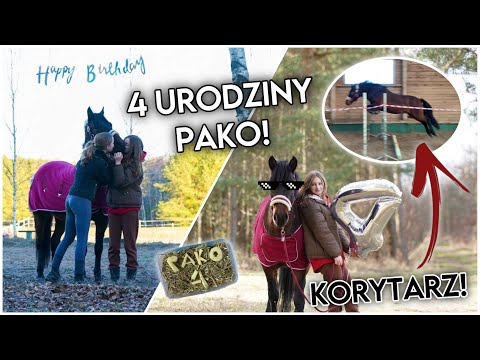 URODZINY PAKUSIA 🥳❤️ MŁODY LATA W KORYTARZU!! POBIŁ SWÓJ REKORD SKOKU 😱