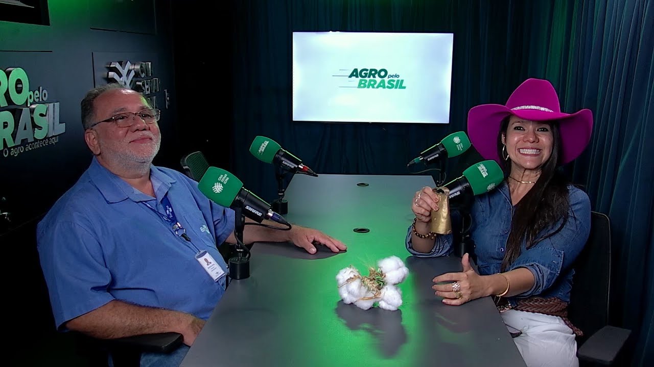 Trigo no Ceará: a pesquisa da Embrapa que promete revolucionar o agro no semiárido | Expocariri 20