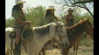 Embargame a mi -Invasores de Nuevo Leon.